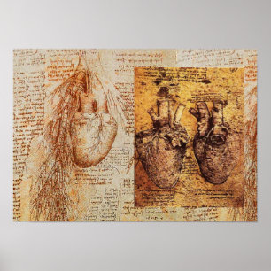 Heart And Its Blood Vessels / Bronchial Arteries Poster