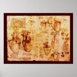 Heart And Its Blood Vessels , Brown Canvas Poster