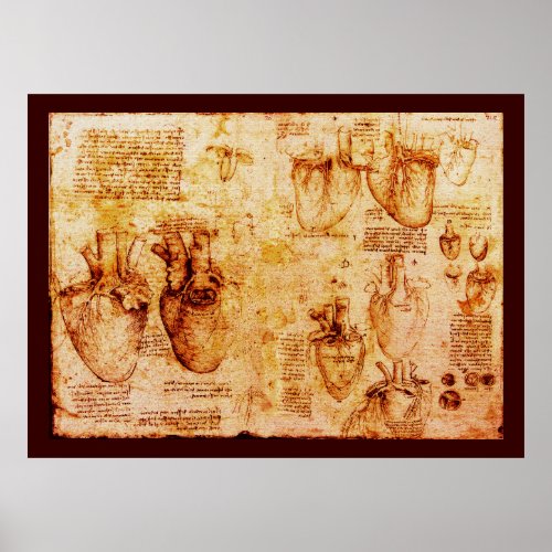 Heart And Its Blood Vessels  Brown Canvas Poster