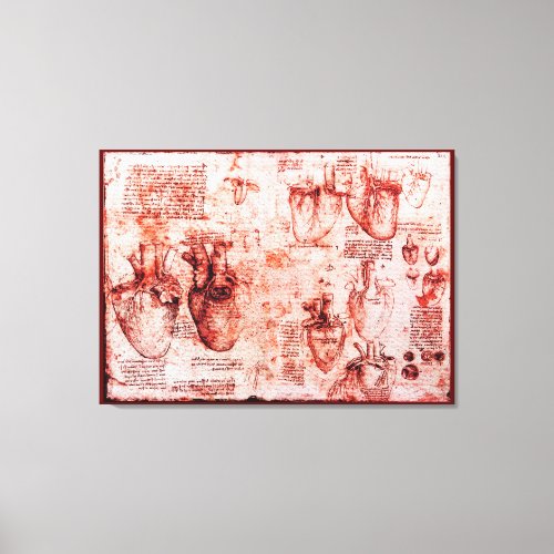 Heart And Its Blood VesselsLeonardo Da Vinci Red Canvas Print
