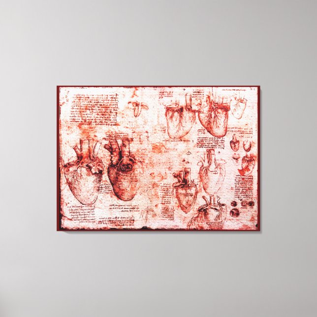 Heart And Its Blood Vessels,Leonardo Da Vinci, Red Canvas Print (Front)