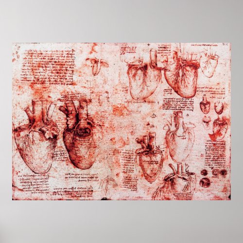 Heart And Its Blood Vessels Leonardo Da VinciRed Poster