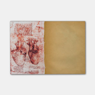 Heart And Its Blood Vessels Medical Parchment Red Post-it Notes