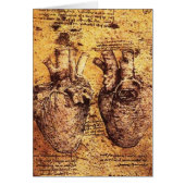 Heart And Its Blood Vessels Parchment (Front)