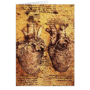 Heart And Its Blood Vessels Parchment Cards
