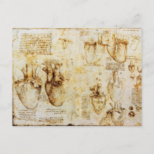 Heart And Its Blood Vessels Parchment Postcard