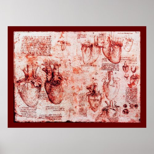Heart And Its Blood Vessels  Red  Canvas Poster