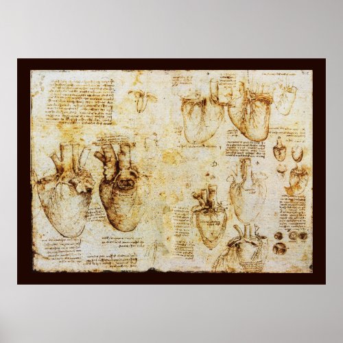 Heart And Its Blood Vessels  Sepia Canvas Poster