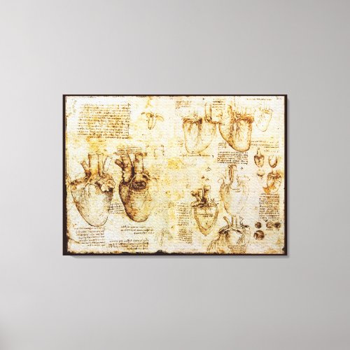 Heart And Its Blood Vessels Sepia Canvas Print