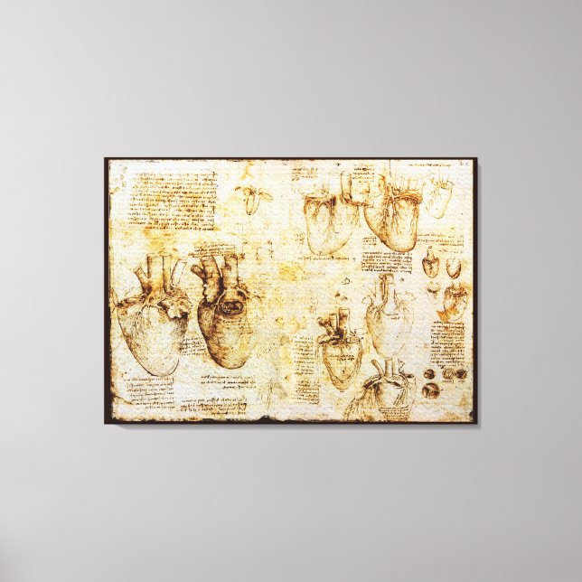 Heart And Its Blood Vessels, Sepia Canvas Print (Front)