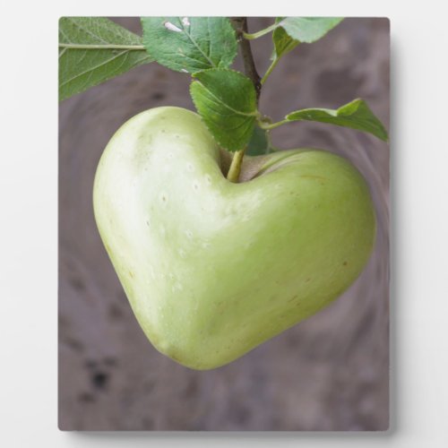 heart apple on tree plaque