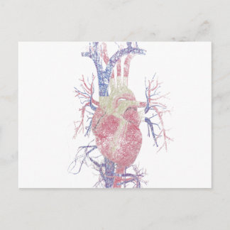 Heart (Biro) Postcard