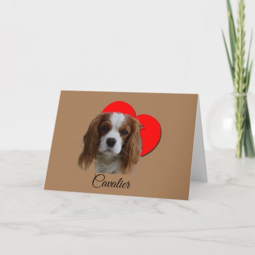 Heart Blenheim Cavalier King Charles Spaniel Love  Card