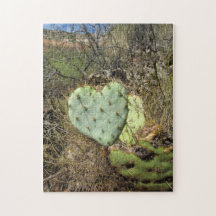 heart cactus