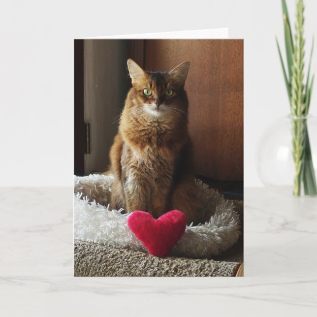 Heart Cat Somali Cat Valentine's Day  Card (Front)