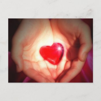 Heart In Hands Postcard by lilandluckysloot at Zazzle