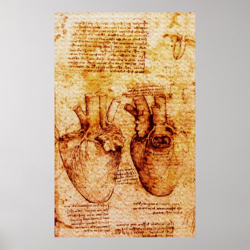 HeartIts Blood VesselsLeonardo Da Vinci Brown Poster