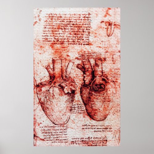 HeartIts Blood VesselsLeonardo Da Vinci Red Poster