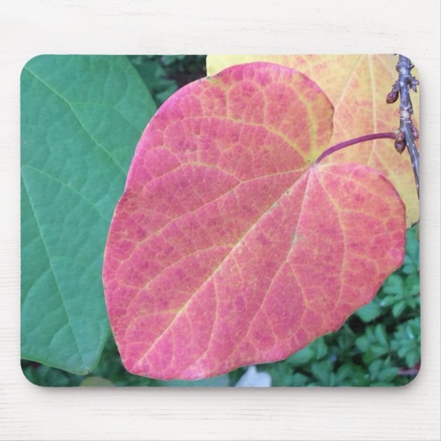 Heart Leaves of Yellow Red Green - Mouse Pad (Front)