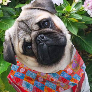 Heart Love Patchwork Pattern Pug Dog New Puppy Bandana