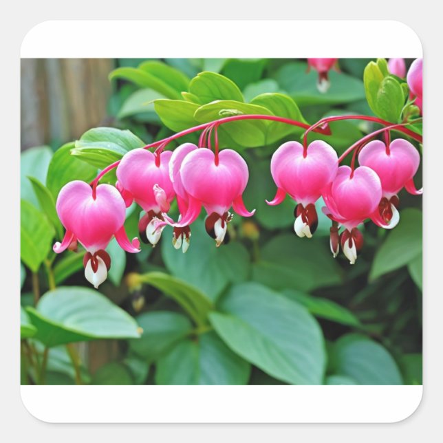 Heart Love Square Sticker (Front)