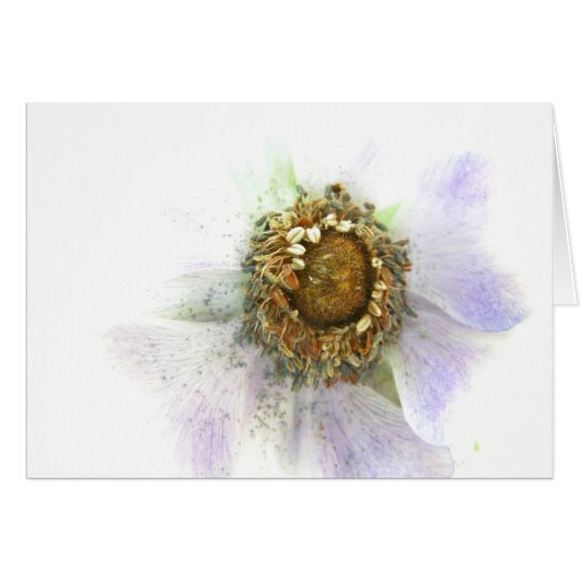 Heart of an Anemone Cards (Front Horizontal)