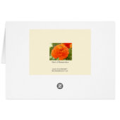 Heart of Ranunculus Cards (Back Horizontal)