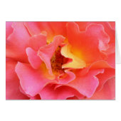 heart of the rose blank card (Front Horizontal)