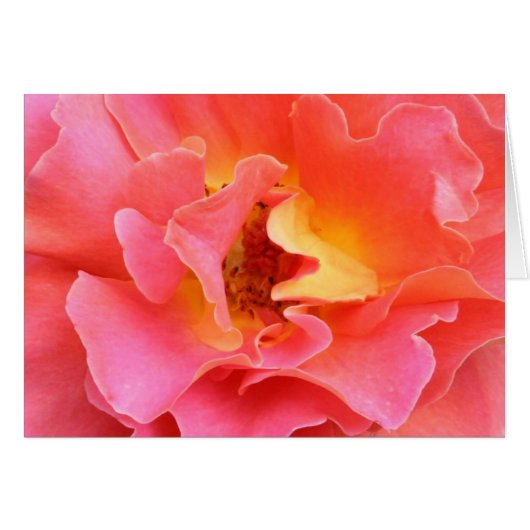 heart of the rose blank card (Front Horizontal)