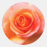 &#39;heart Of The Rose&#39; Sticker at Zazzle