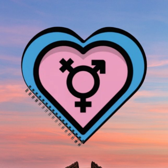 Heart of Trans Pride Spiral Notebook (Creator Uploaded)