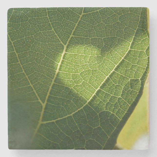 Heart on a Sunlit Leaf Coaster  (Front)