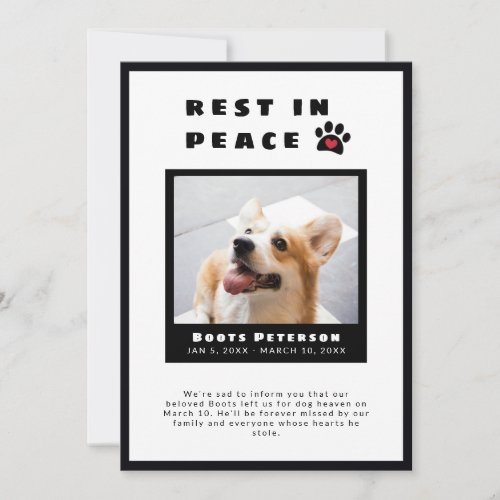 Heart Pawprint Rest In Peace Pet Loss Photo Announcement