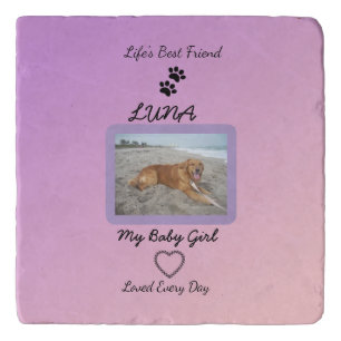 Heart Pawprints Pet Celebration  Trivet