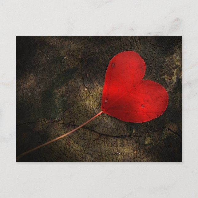 heart postcard (Front)