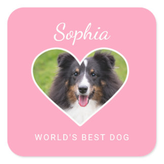 Heart Shape Custom Pet Photo On Pink &amp; Text Square Sticker