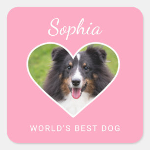 Heart Shape Custom Pet Photo On Pink & Text Square Sticker