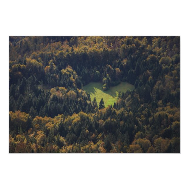 Heart shape in a forest in Slovenia Photo Print (Front)