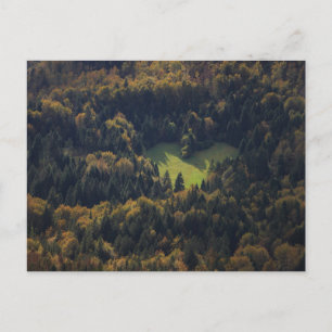 Heart shape in a forest in Slovenia Postcard