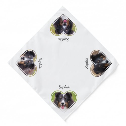 Heart Shape Pet Photo Templates With Pets Name Bandana