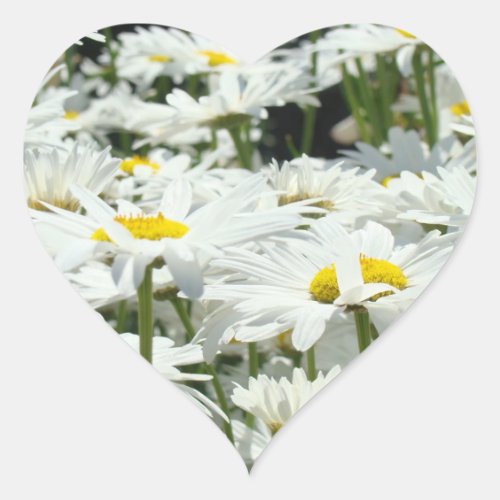 Heart Shape stickers Summer Daisy Flowers Seals