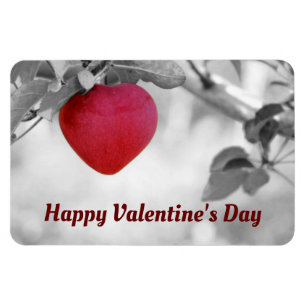 Heart Shaped Apple Photo Magnet