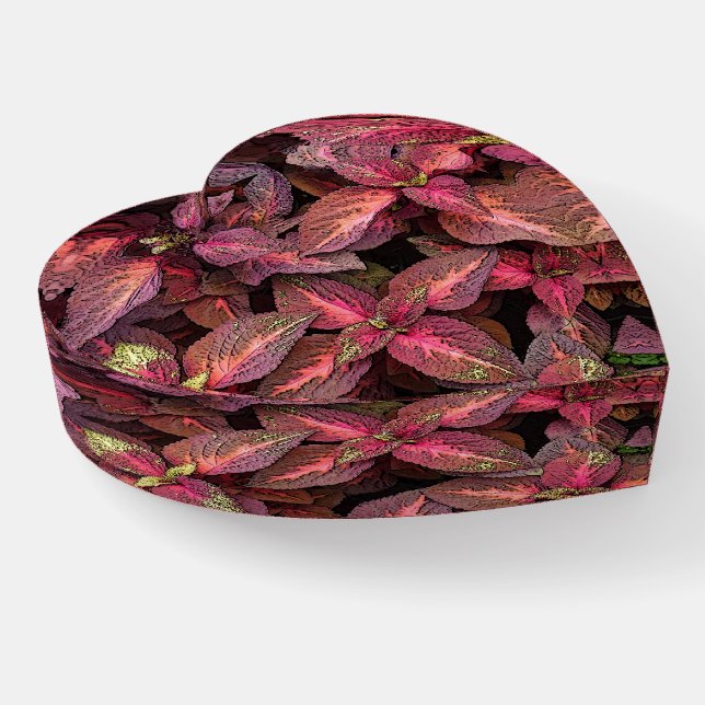 Heart-shaped Colelus paperweight (Angled)