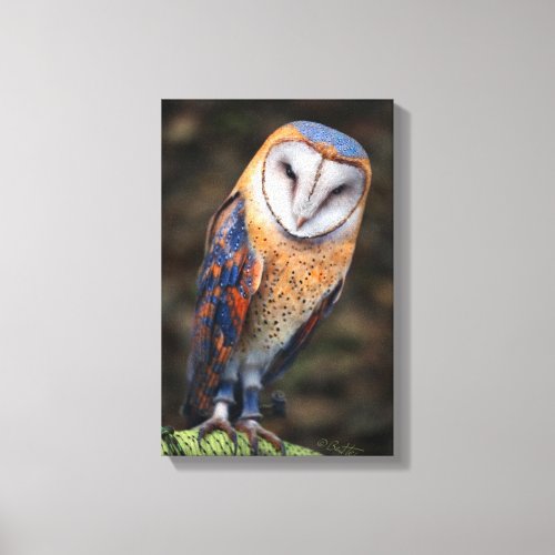 Heart_Shaped Face Barn Owl Canvas Print