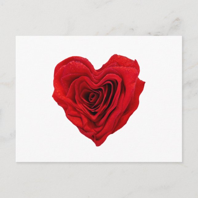 Heart-Shaped Red Rose Postcard (Front)