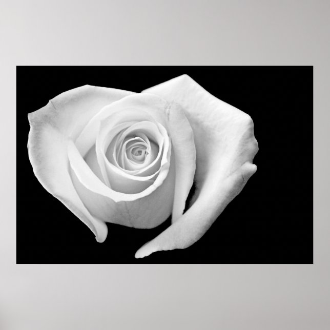 Heart Shaped Rose, Black and White Poster (Front)