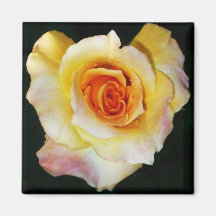 Heart Shaped Rose Magnet