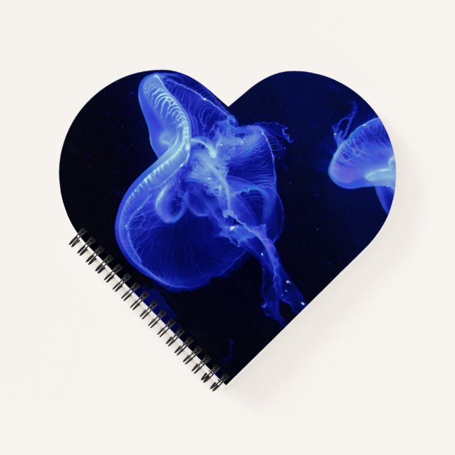 Heart Shaped Spiral Bound Notebook (Front)