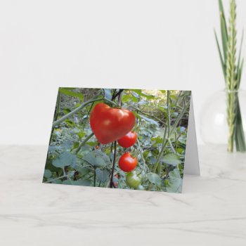Heart Shaped Tomato "pick Me!" Holiday Card by logodiane at Zazzle