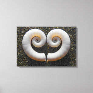 HEART SHELLS 16x24 Canvas Print